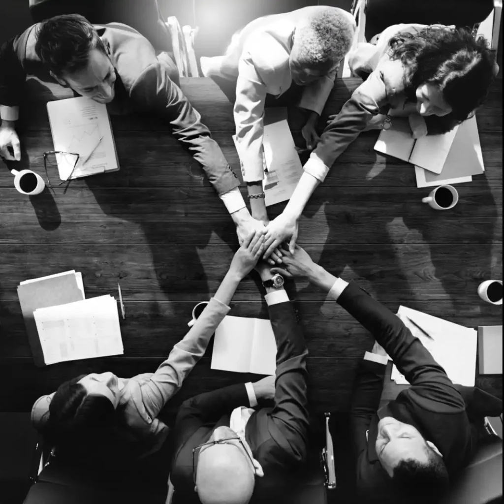 Creative execution and digital campaign launch by the best digital marketing company in Malappuram for brand growth